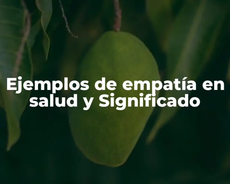 Ejemplos de empatía en salud y Significado