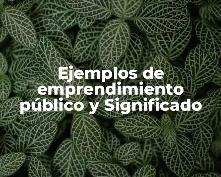 Ejemplos de emprendimiento público y Significado