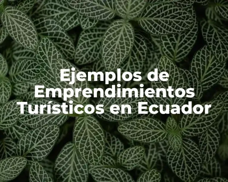 Ejemplos de Emprendimientos Turísticos en Ecuador