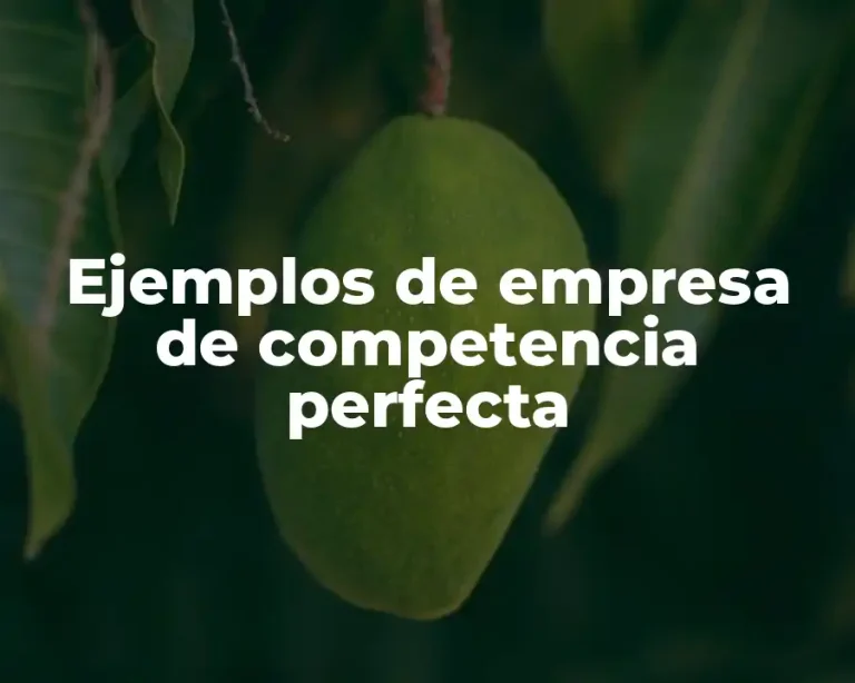 Ejemplos de empresa de competencia perfecta