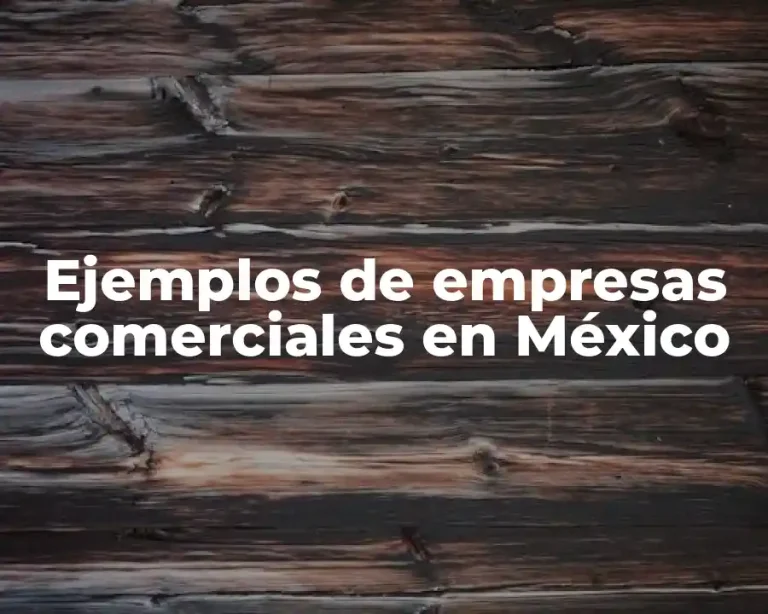 Ejemplos de empresas comerciales en México