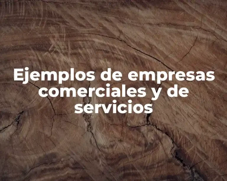 Ejemplos de empresas comerciales y de servicios