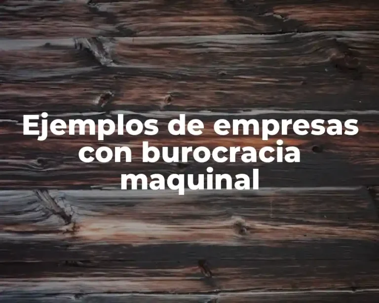 Ejemplos de empresas con burocracia maquinal