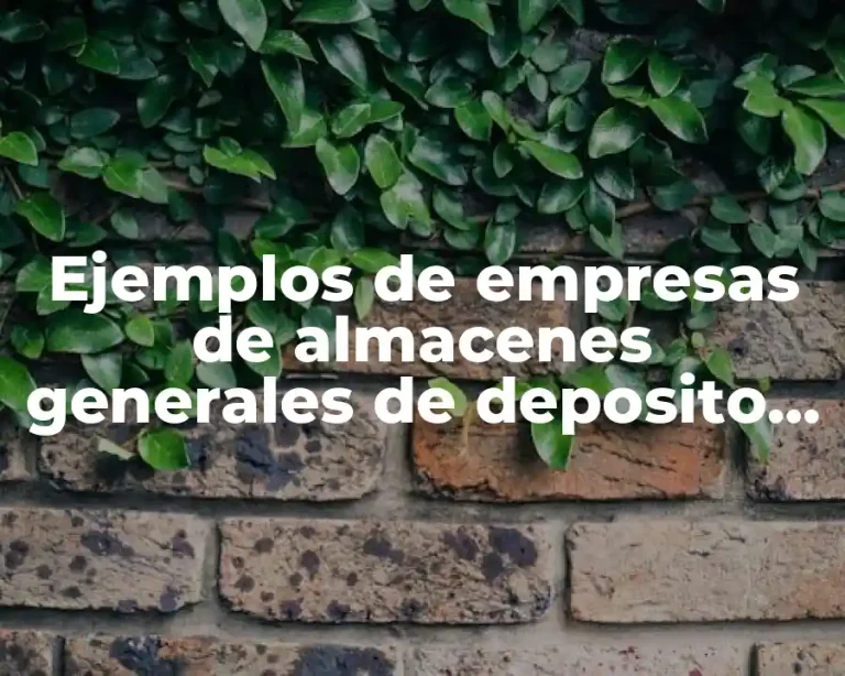 Ejemplos de empresas de almacenes generales de deposito en México