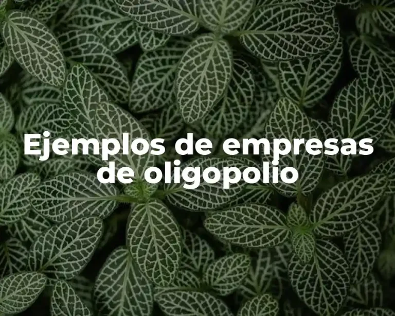 Ejemplos de empresas de oligopolio
