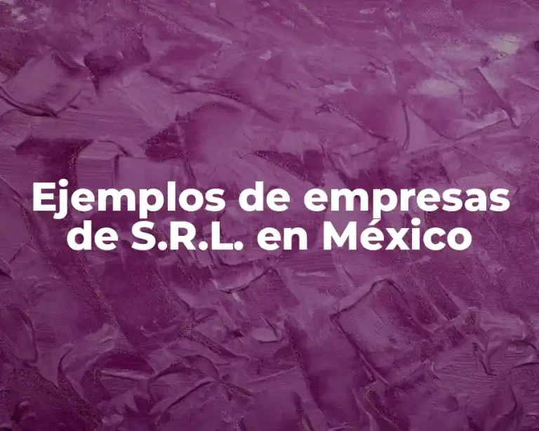Ejemplos de empresas de S.R.L. en México