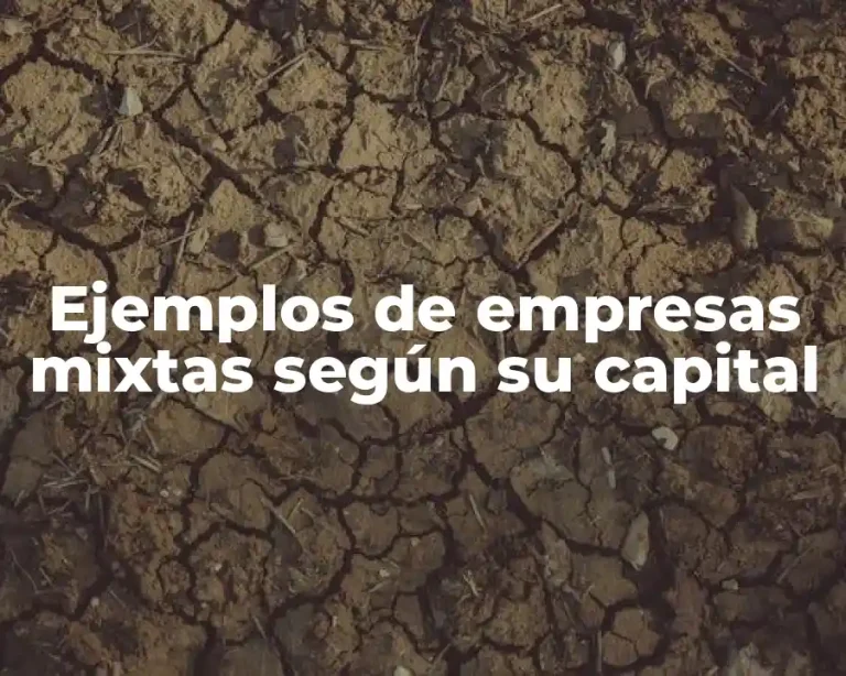 Ejemplos de empresas mixtas según su capital