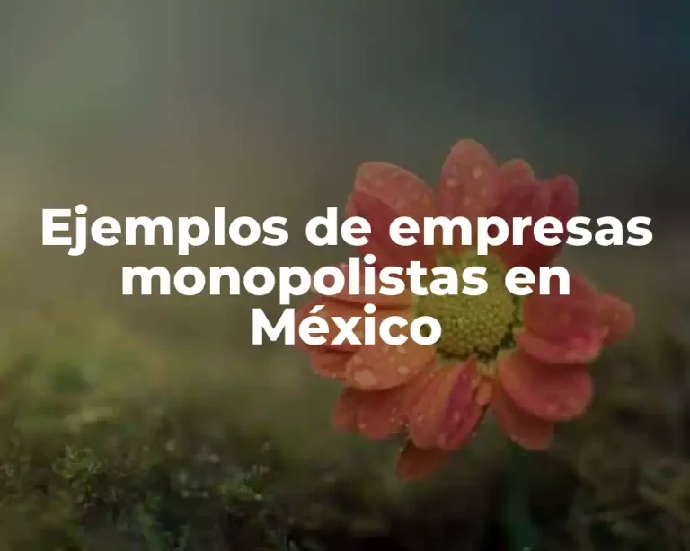 Ejemplos de empresas monopolistas en México