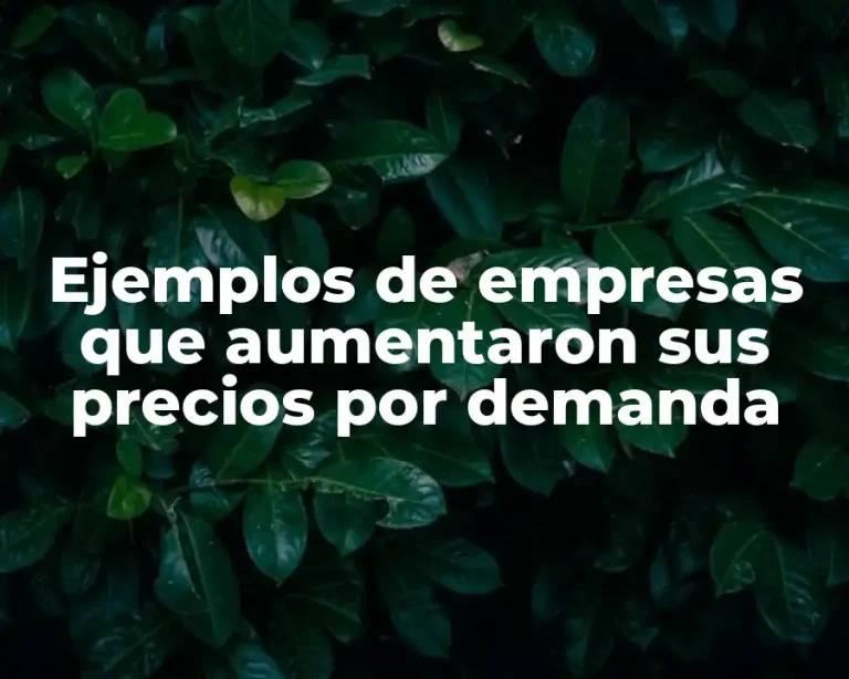 Ejemplos de empresas que aumentaron sus precios por demanda