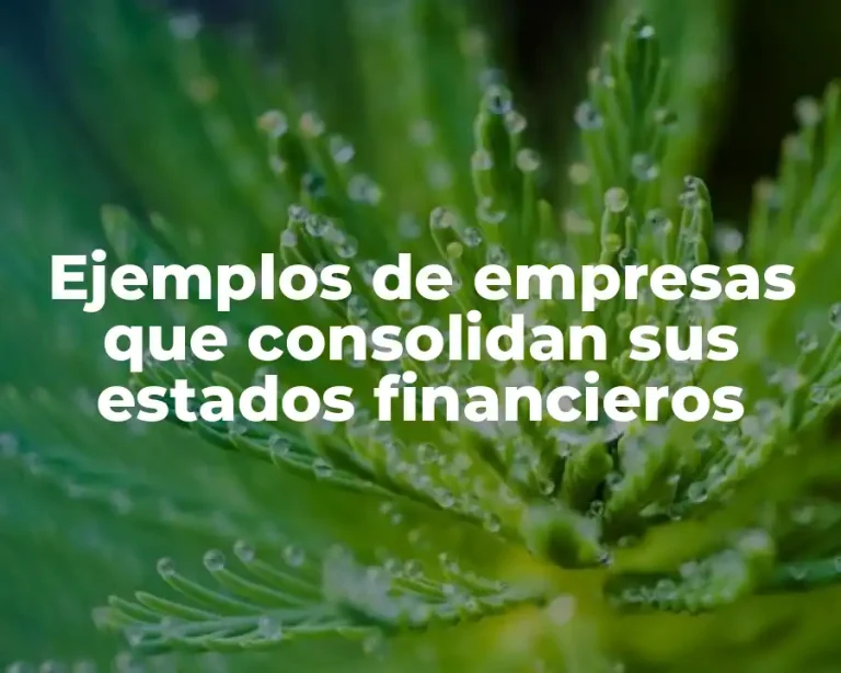Ejemplos de empresas que consolidan sus estados financieros