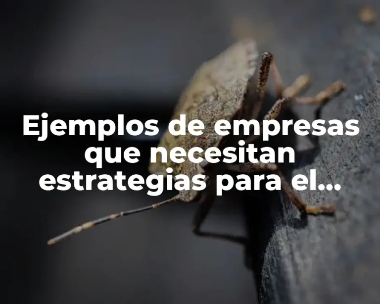 Ejemplos de empresas que necesitan estrategias para el crecimiento