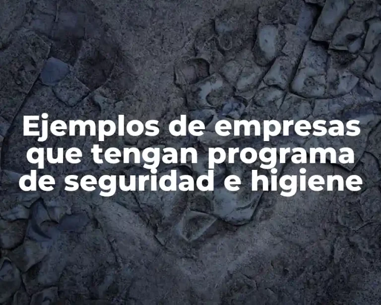 Ejemplos de empresas que tengan programa de seguridad e higiene