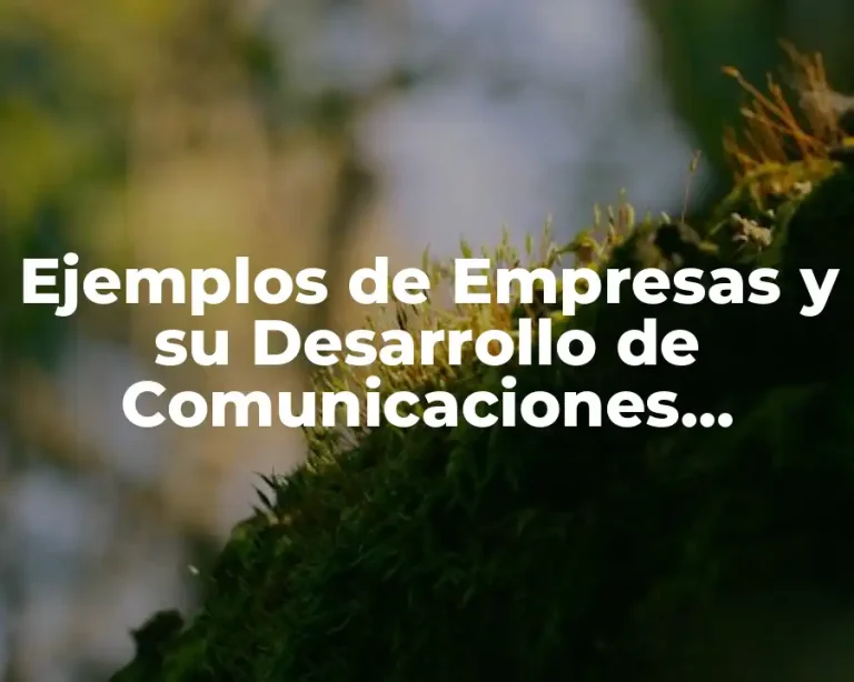 Ejemplos de Empresas y su Desarrollo de Comunicaciones Eficaces