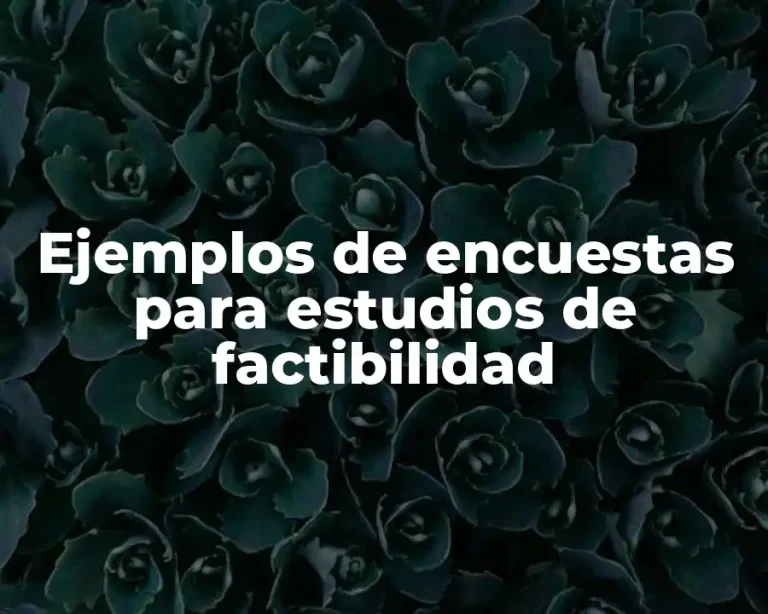 Ejemplos de encuestas para estudios de factibilidad