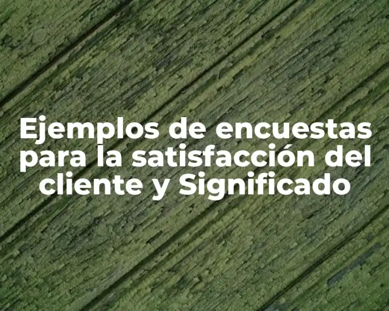Ejemplos de encuestas para la satisfacción del cliente y Significado