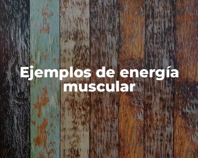 Ejemplos de energía muscular