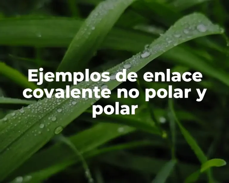 Ejemplos de enlace covalente no polar y polar