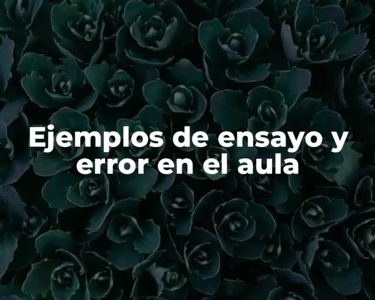 Ejemplos de ensayo y error en el aula