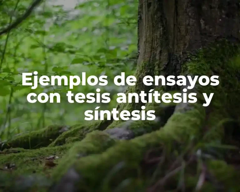 Ejemplos de ensayos con tesis antítesis y síntesis