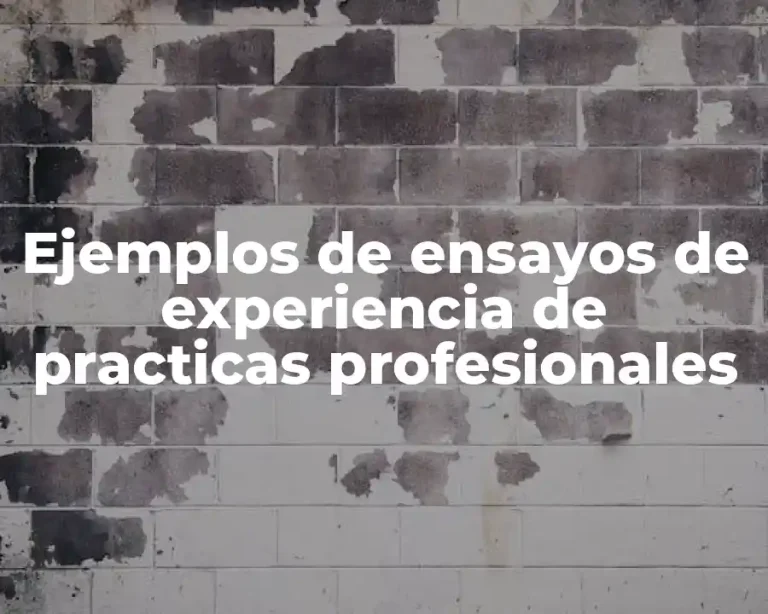 Ejemplos de ensayos de experiencia de practicas profesionales