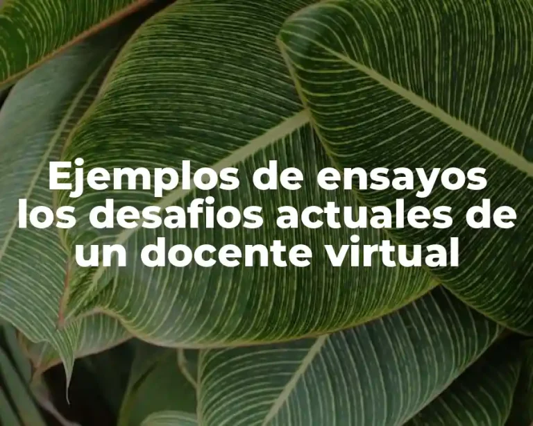 Ejemplos de ensayos los desafios actuales de un docente virtual