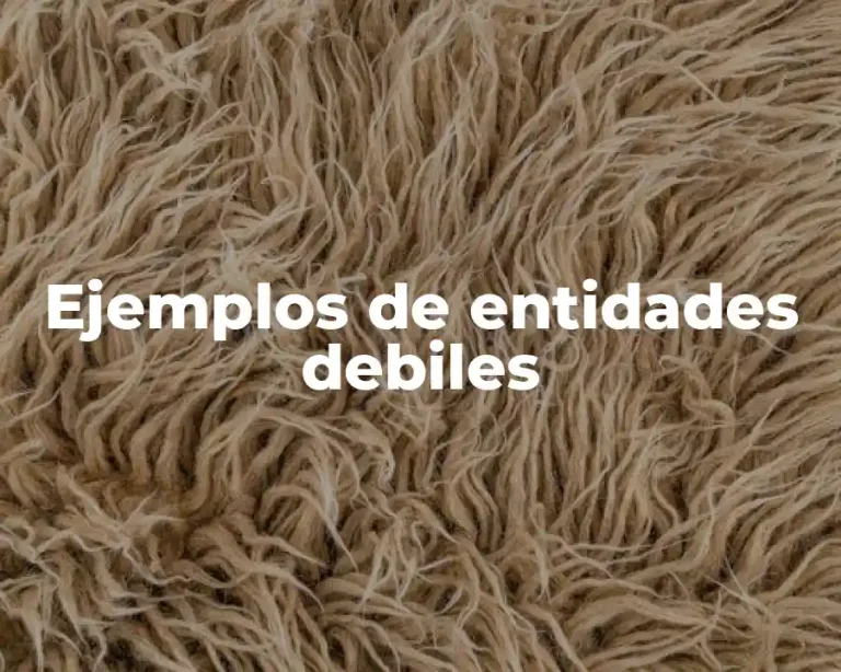 Ejemplos de entidades debiles