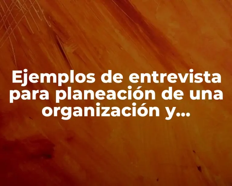 Ejemplos de entrevista para planeación de una organización y Significado