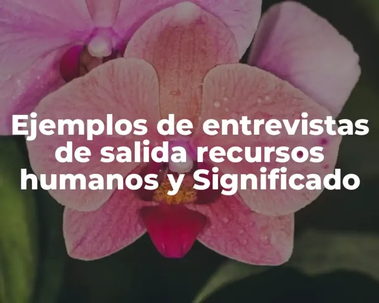 Ejemplos de entrevistas de salida recursos humanos y Significado