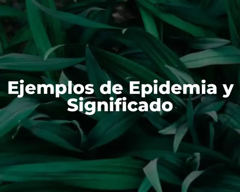Ejemplos de Epidemia y Significado