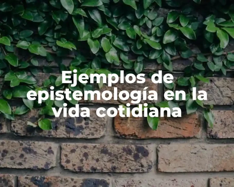 Ejemplos de epistemología en la vida cotidiana