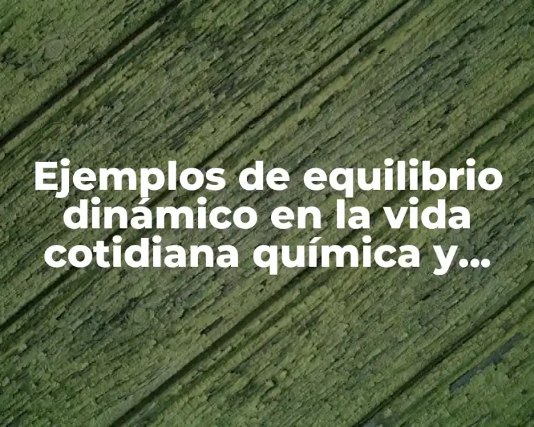 Ejemplos de equilibrio dinámico en la vida cotidiana química y Significado