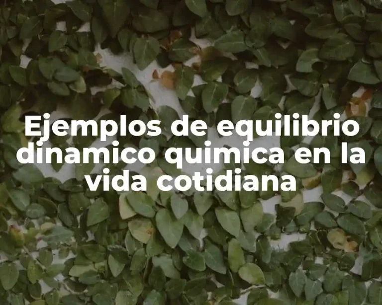 Ejemplos de equilibrio dinamico quimica en la vida cotidiana
