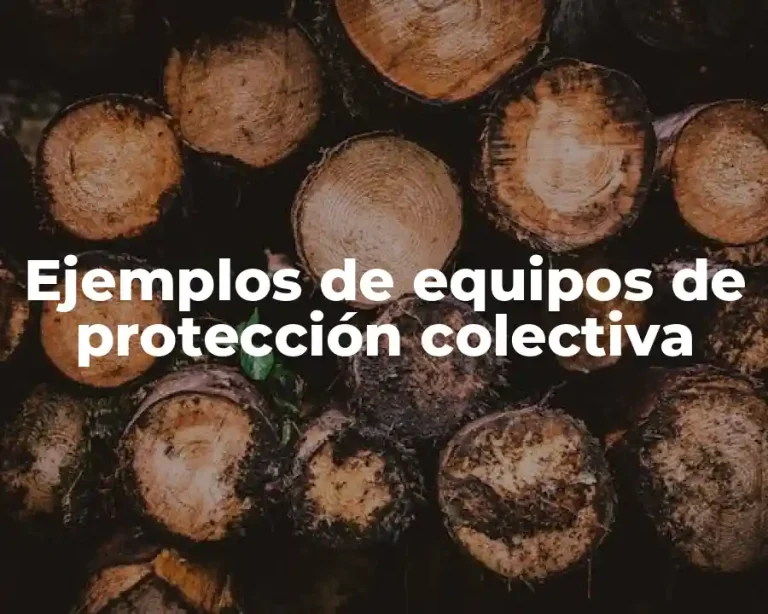 Ejemplos de equipos de protección colectiva