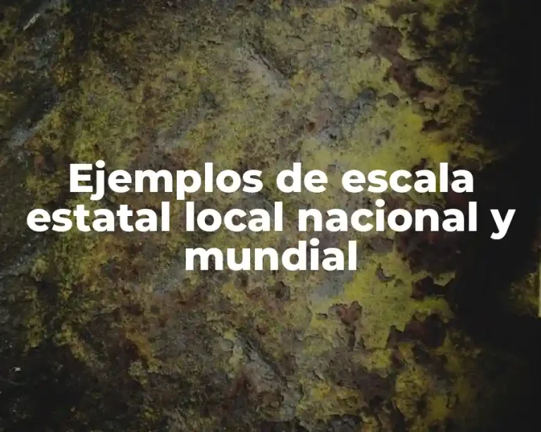 Ejemplos de escala estatal local nacional y mundial