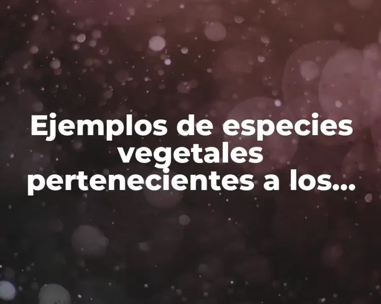 Ejemplos de especies vegetales pertenecientes a los cereales