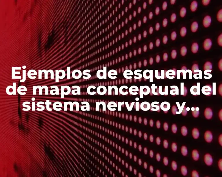 Ejemplos de esquemas de mapa conceptual del sistema nervioso y Significado