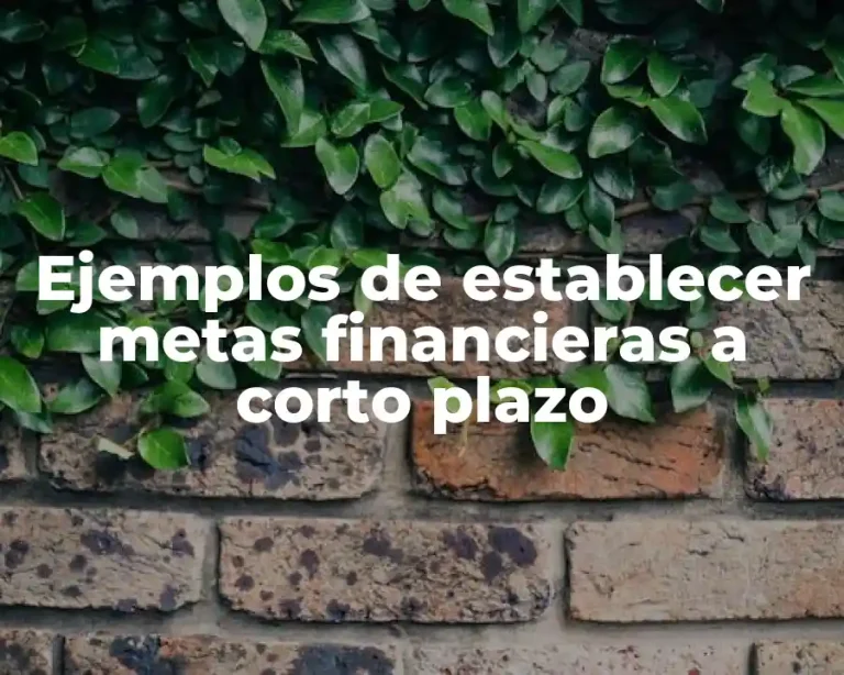 Ejemplos de establecer metas financieras a corto plazo