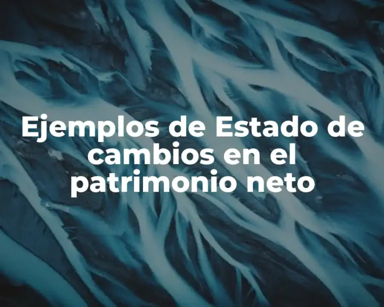 Ejemplos de Estado de cambios en el patrimonio neto
