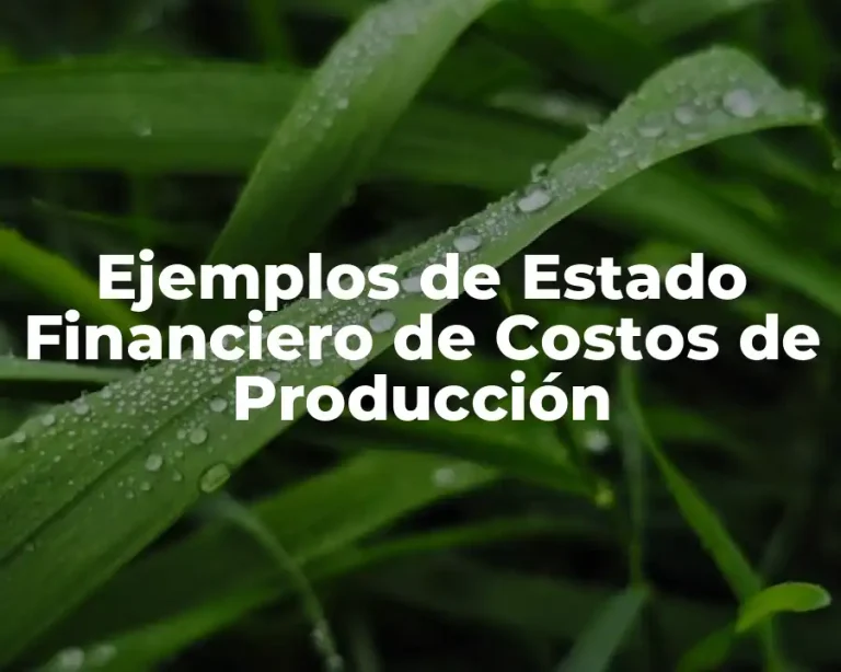 Ejemplos de Estado Financiero de Costos de Producción