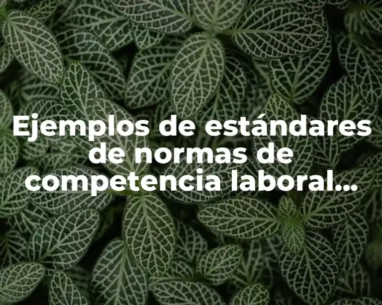 Ejemplos de estándares de normas de competencia laboral afanador y Significado