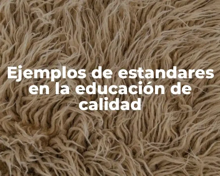 Ejemplos de estandares en la educación de calidad