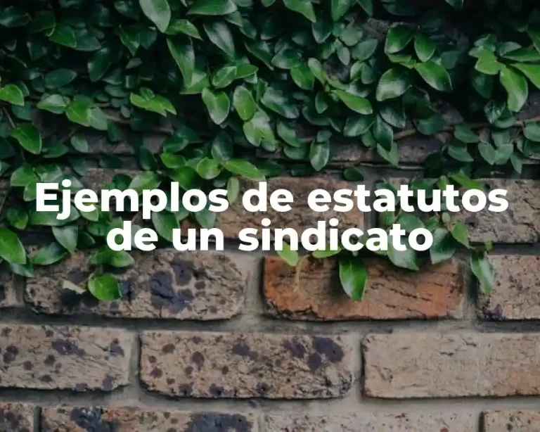 Ejemplos de estatutos de un sindicato