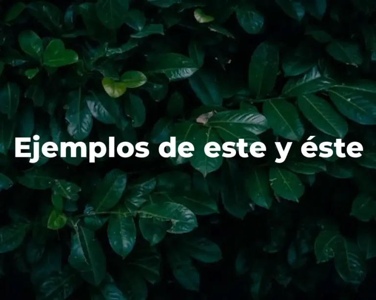 Ejemplos de este y éste