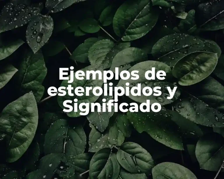 Ejemplos de esterolipidos y Significado