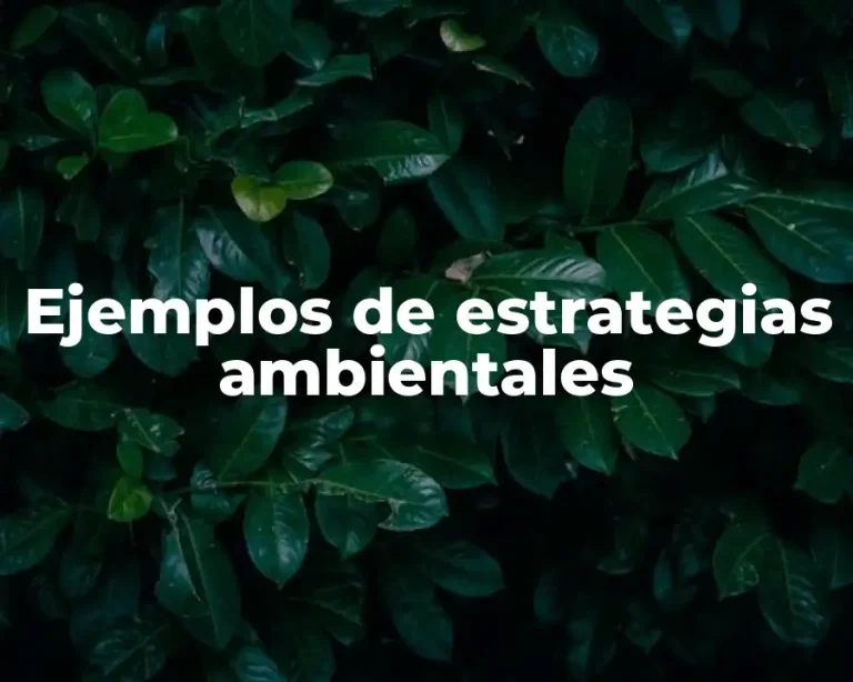Ejemplos de estrategias ambientales