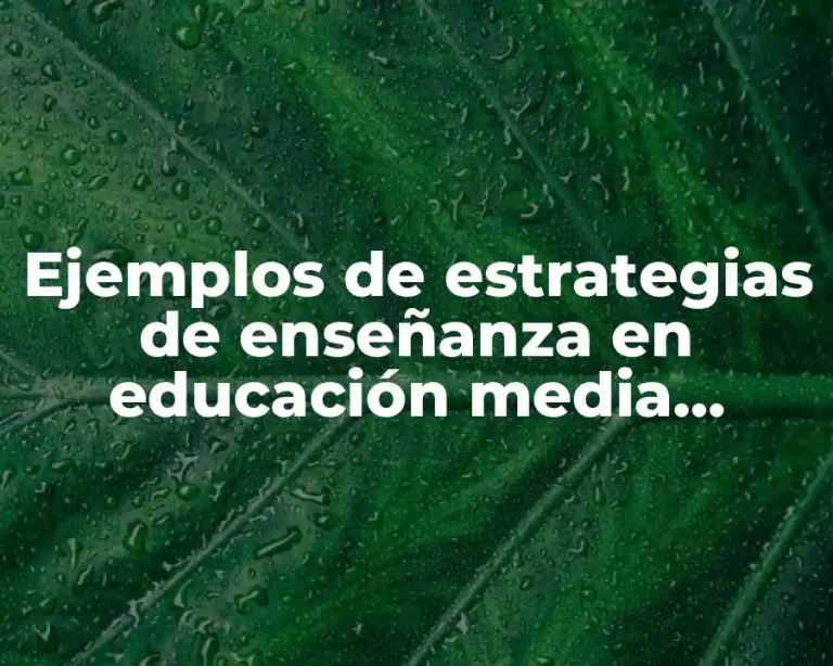 Ejemplos de estrategias de enseñanza en educación media superior