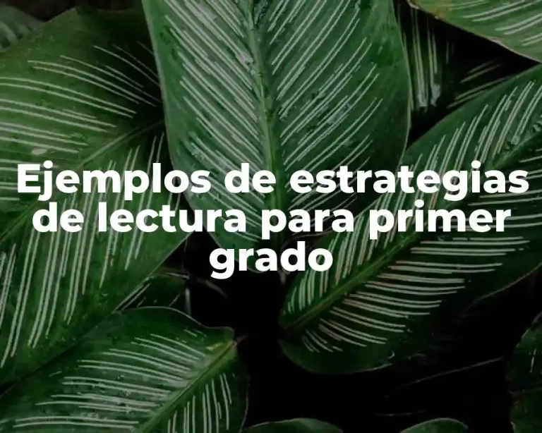 Ejemplos de estrategias de lectura para primer grado