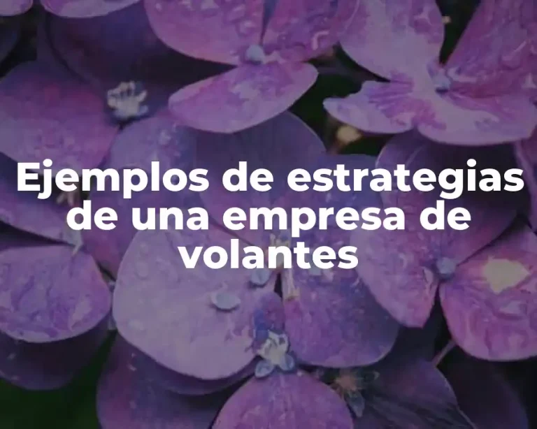 Ejemplos de estrategias de una empresa de volantes