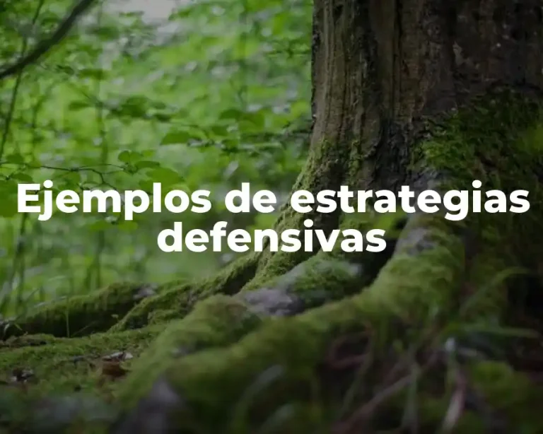 Ejemplos de estrategias defensivas