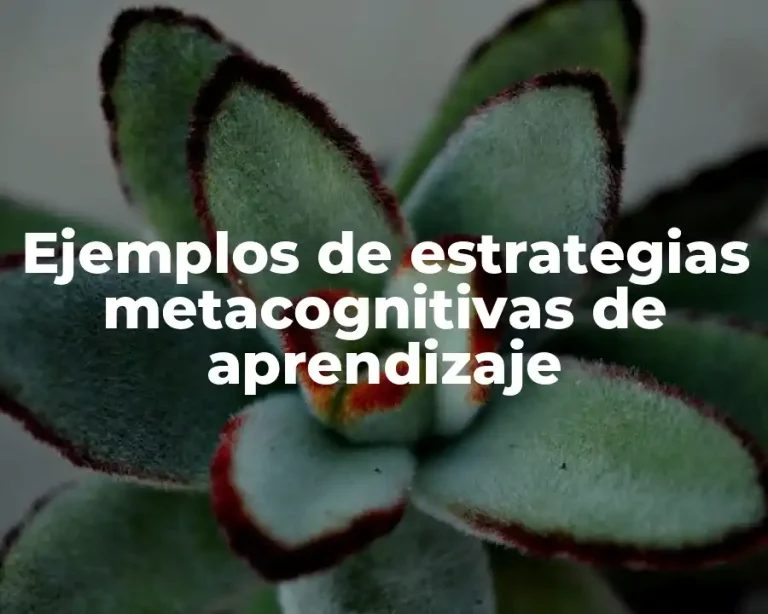 Ejemplos de estrategias metacognitivas de aprendizaje